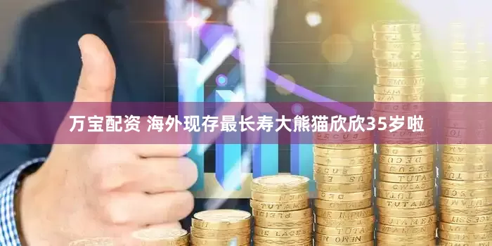 万宝配资 海外现存最长寿大熊猫欣欣35岁啦