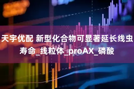 天宇优配 新型化合物可显著延长线虫寿命_线粒体_proAX_磷酸