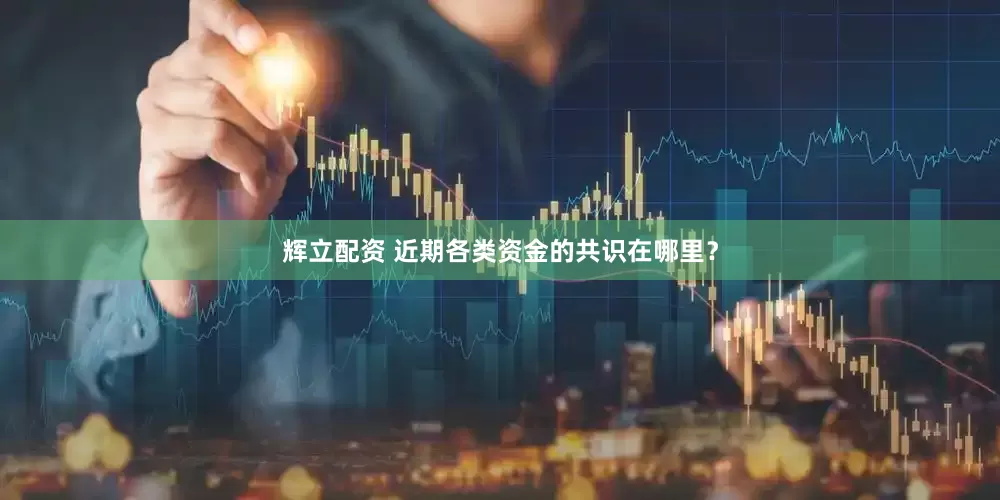 辉立配资 近期各类资金的共识在哪里？